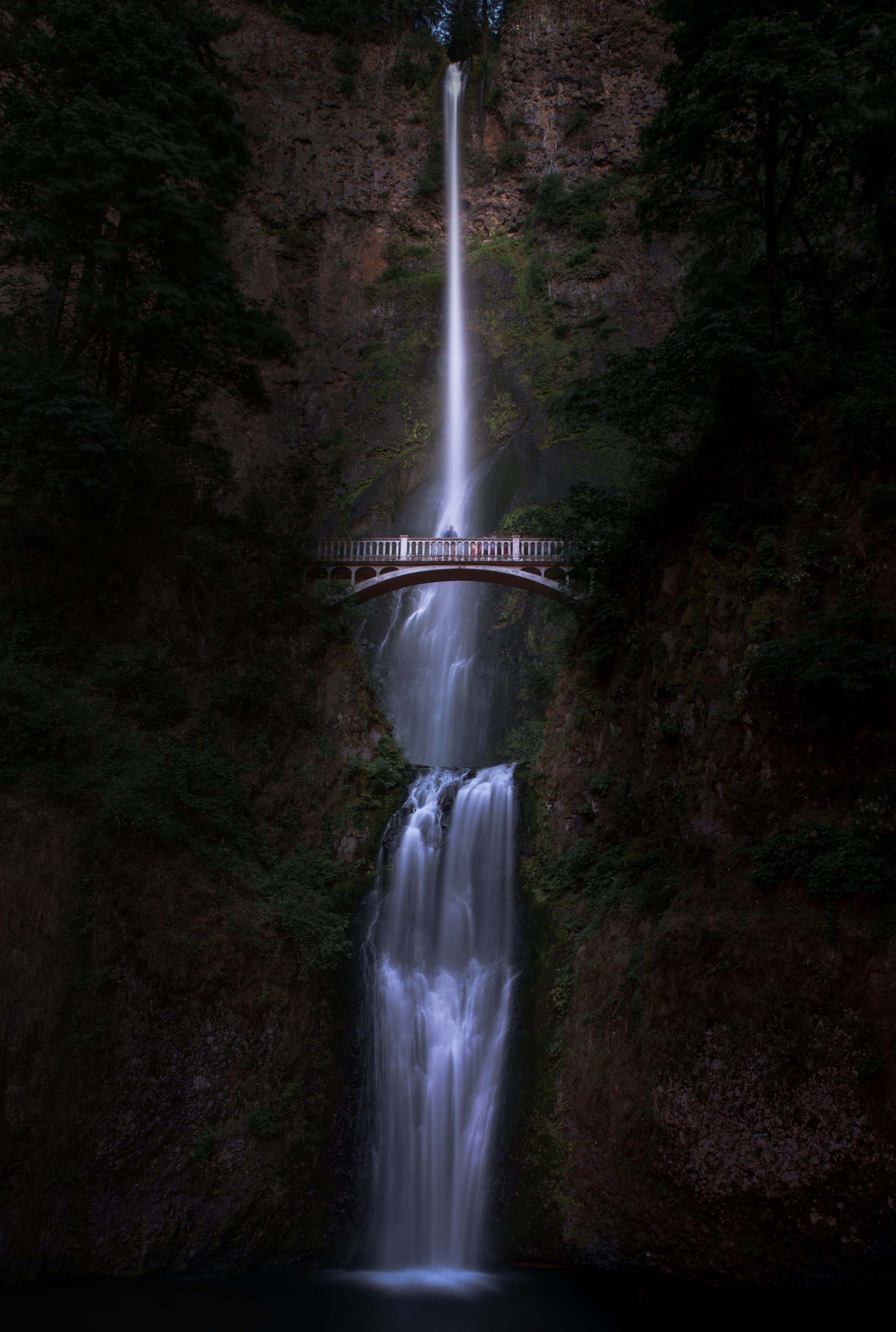 Portrait Cover Middle